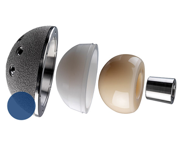 DYNASTY® HIP SYSTEMS