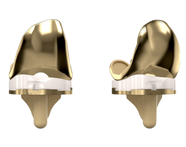 Evolution® NitrX™ Medial-Pivot Knee System
